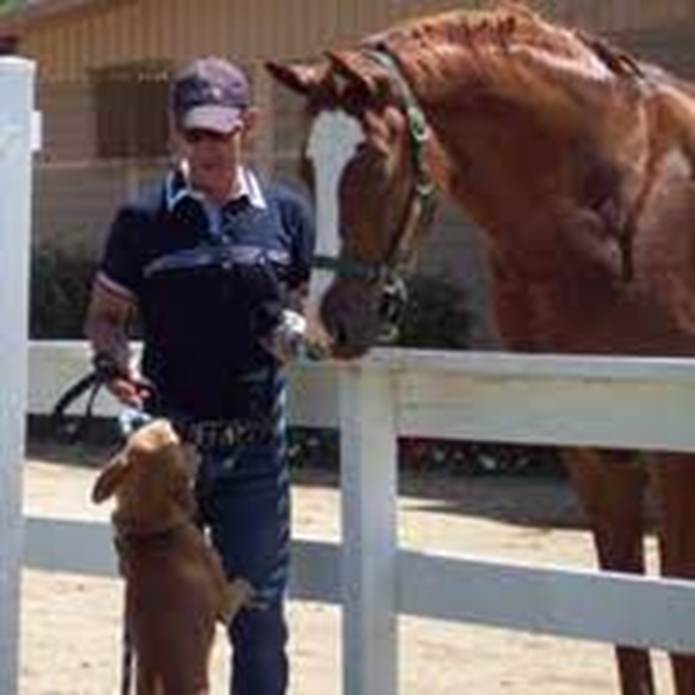 A person and a dog standing next to a horse

AI-generated content may be incorrect.